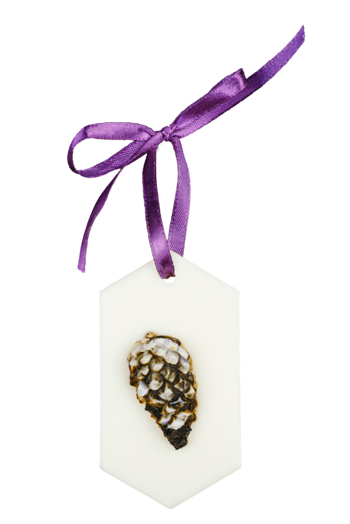 Odorizant pentru dulapuri- Pin, Cedru, Eucalipt
